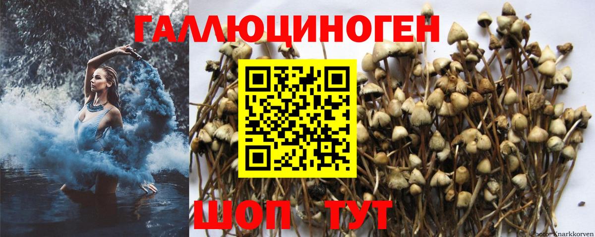 Псилоцибиновые грибы Magic Shrooms Нерюнгри