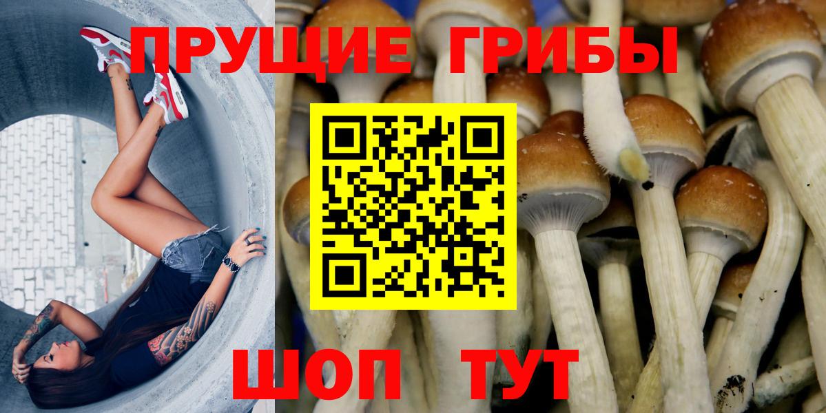 Псилоцибиновые грибы Psilocybe  Галлюциногенные грибы Cubensis  Нерюнгри  Вход с VPN 
