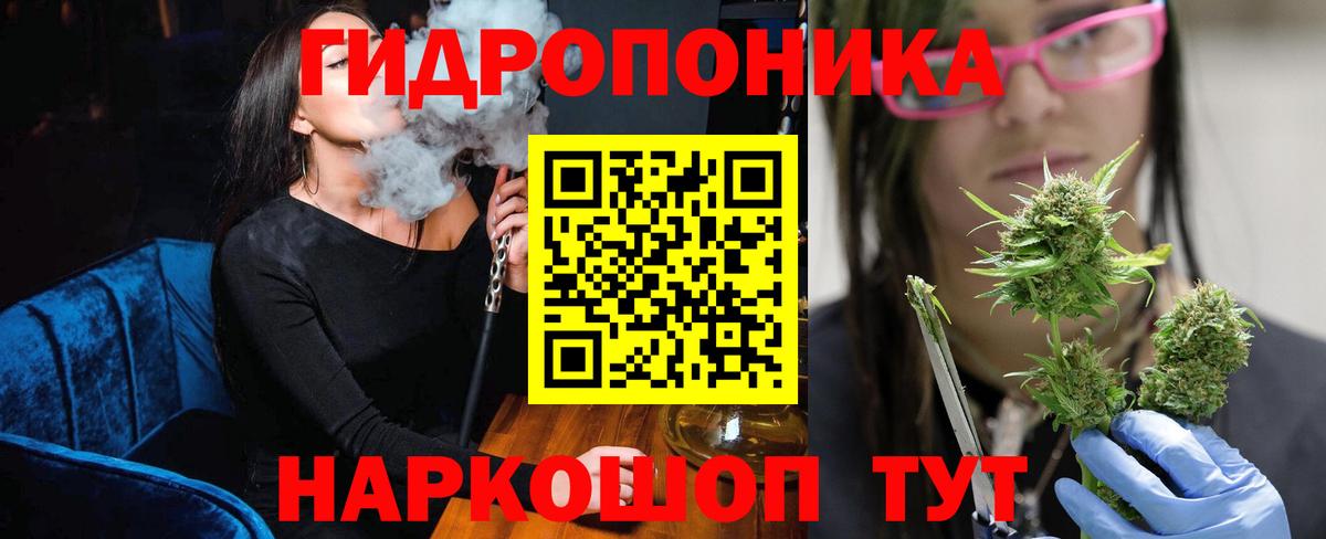 Каннабис Bruce Banner  Марихуана THC 21%  Нерюнгри  Вход с VPN  Канабис семена 